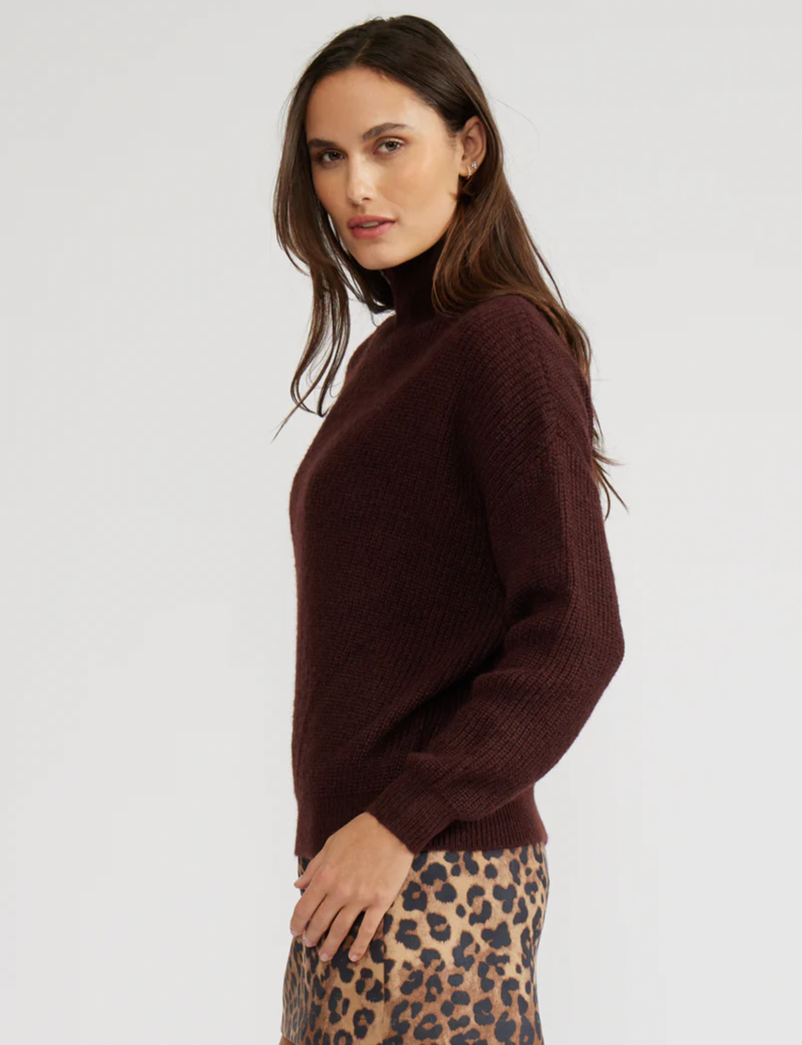 Axel Turtleneck Sweater, Brown