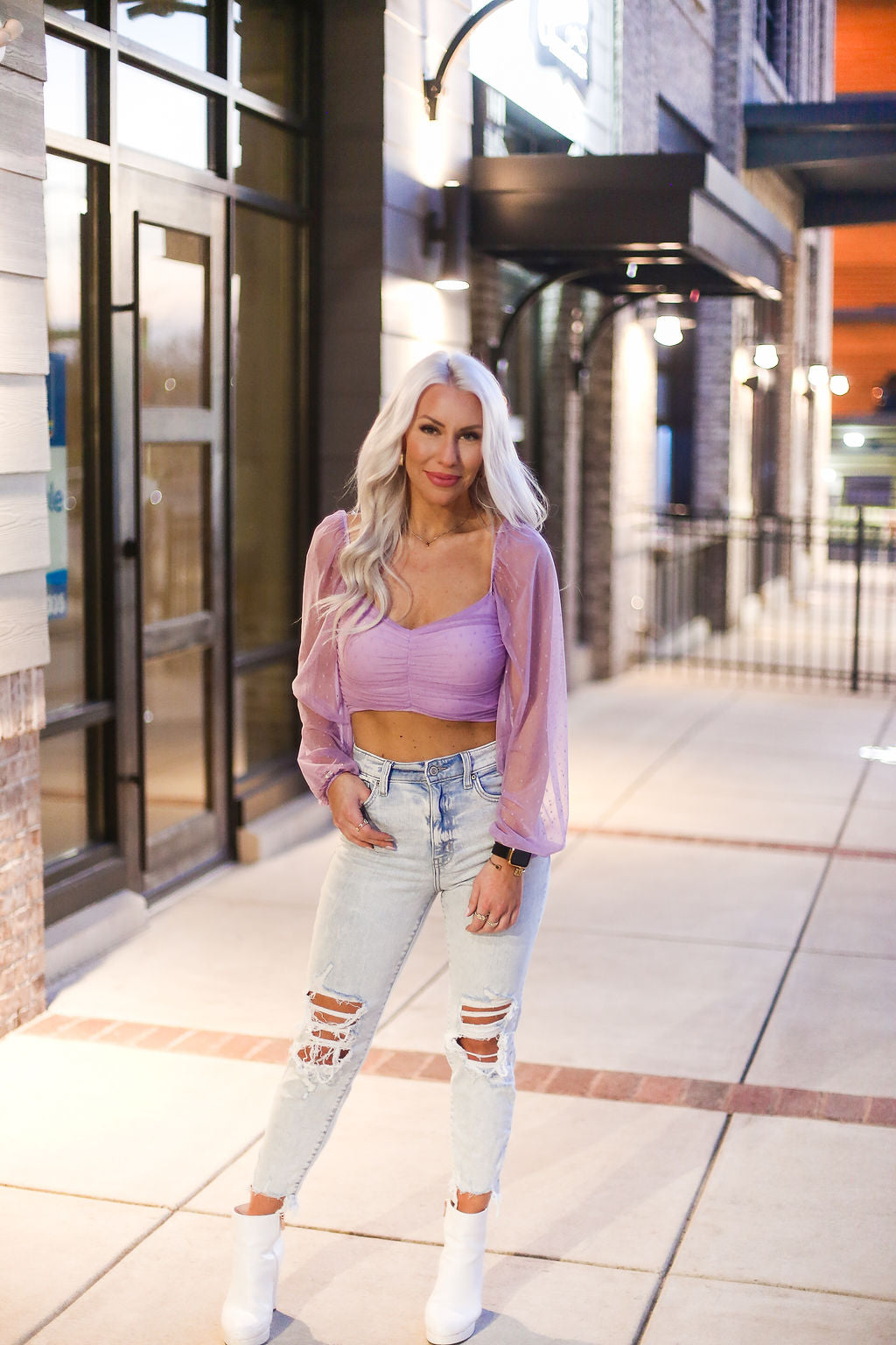 Purple Mesh Dot Long Sleeve Crop Top