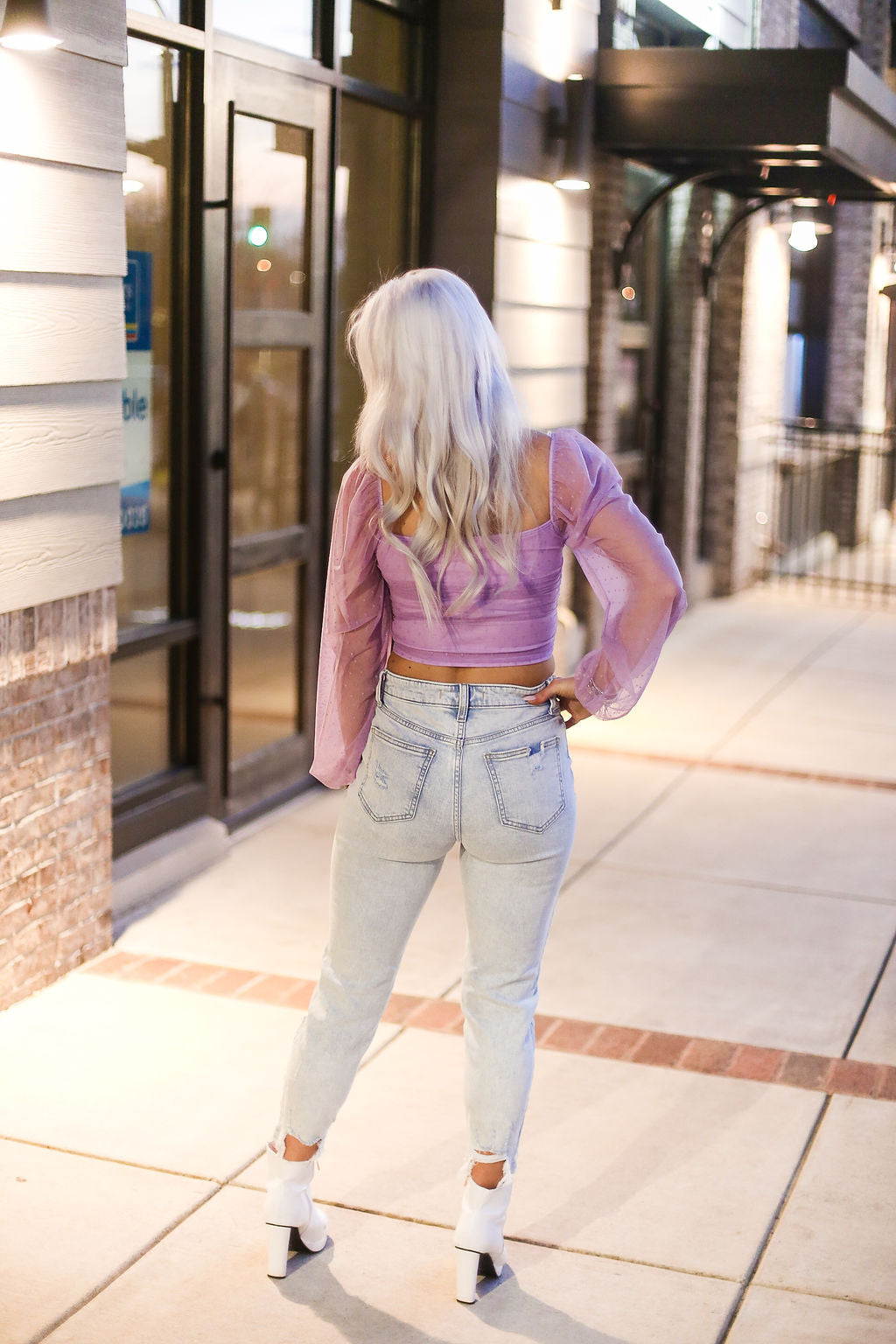 Purple Mesh Dot Long Sleeve Crop Top